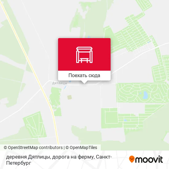 Карта деревня Дятлицы, дорога на ферму