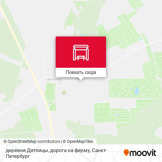 Карта деревня Дятлицы, дорога на ферму