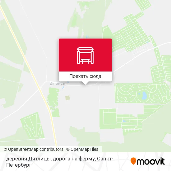Карта деревня Дятлицы, дорога на ферму
