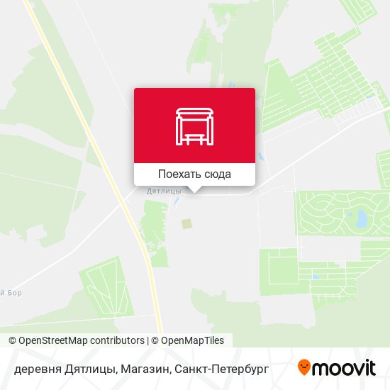Карта деревня Дятлицы, Магазин