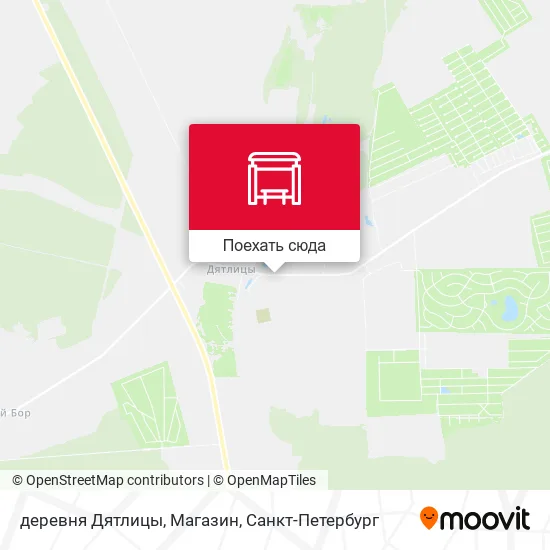 Карта деревня Дятлицы, Магазин