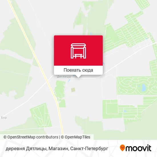 Карта деревня Дятлицы, Магазин