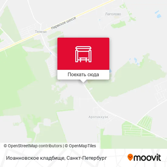 Карта Иоанновское кладбище