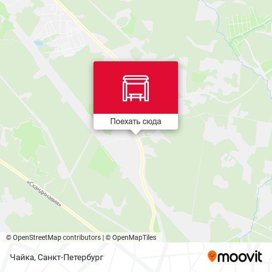 Карта Чайка