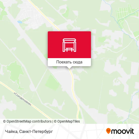 Карта Чайка