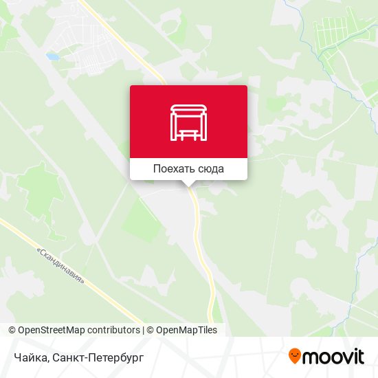 Карта Чайка