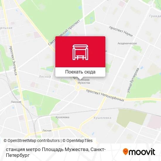 Карта станция метро Площадь Мужества