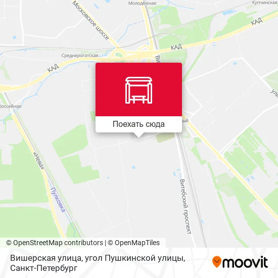 Карта Вишерская улица, угол Пушкинской улицы