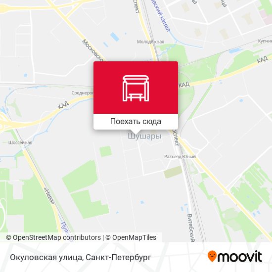 Карта Окуловская улица