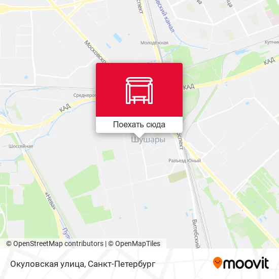 Карта Окуловская улица