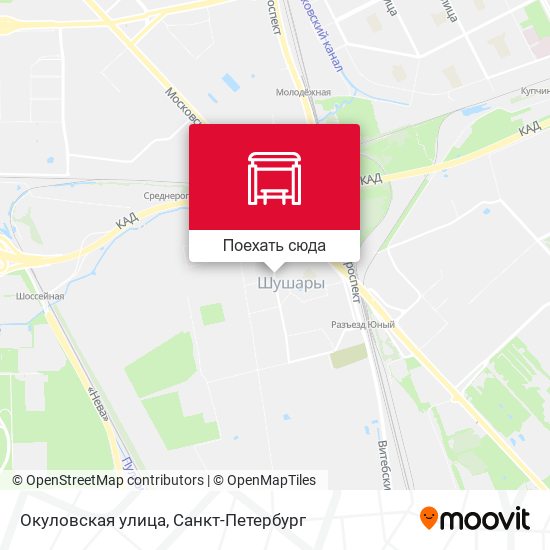 Карта Окуловская улица