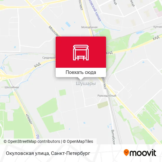 Карта Окуловская улица