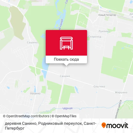 Карта деревня Санино, Родниковый переулок