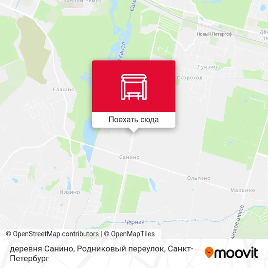 Карта деревня Санино, Родниковый переулок