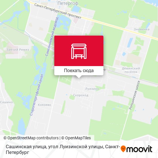 Карта Сашинская улица, угол Луизинской улицы