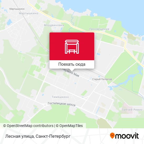 Карта Лесная улица