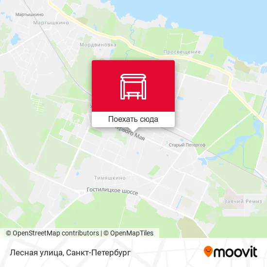 Карта Лесная улица