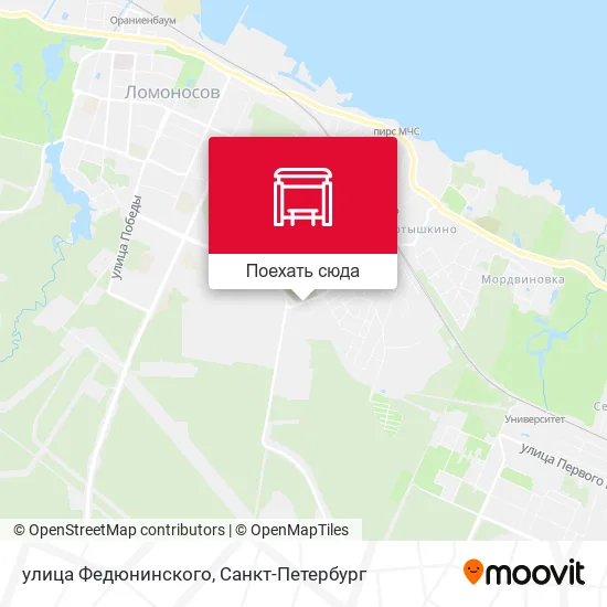 Карта улица Федюнинского
