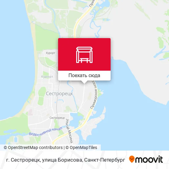 Карта г. Сестрорецк, улица Борисова