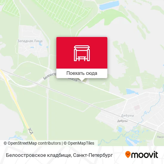 Карта Белоостровское кладбище