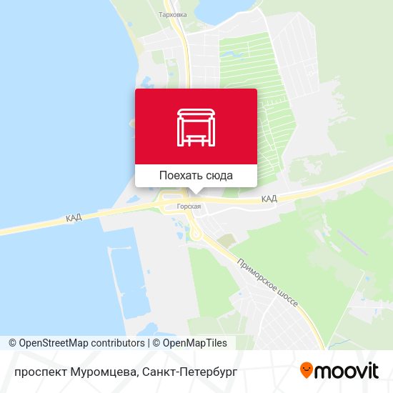 Карта проспект Муромцева