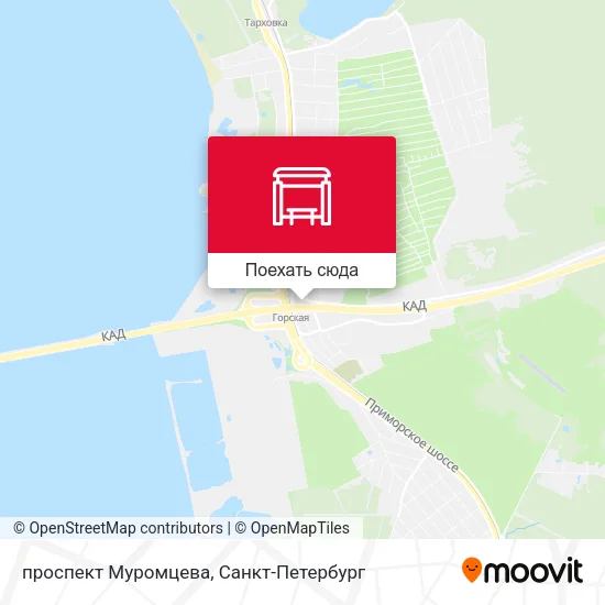 Карта проспект Муромцева