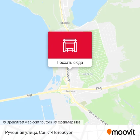 Карта Ручейная улица