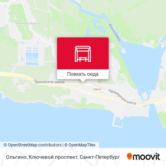 Карта Ольгино, Ключевой проспект