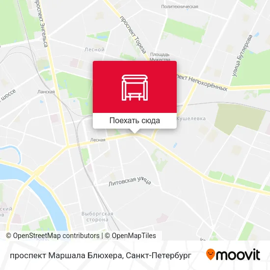 Карта проспект Маршала Блюхера
