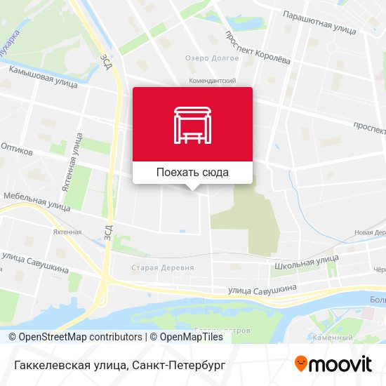 Карта Гаккелевская улица