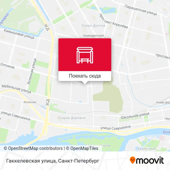 Карта Гаккелевская улица