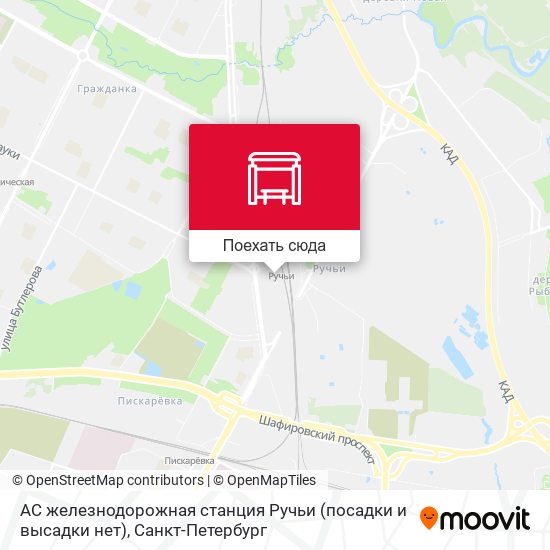 Карта АС железнодорожная станция Ручьи (посадки и высадки нет)