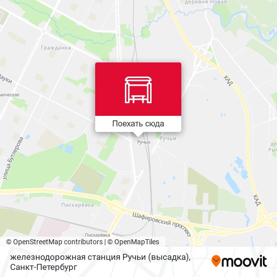 Карта железнодорожная станция Ручьи (высадка)