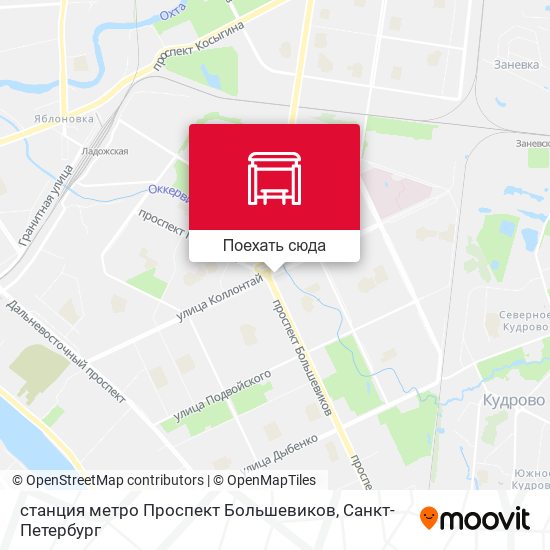 Карта станция метро Проспект Большевиков