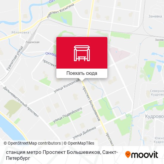 Карта станция метро Проспект Большевиков