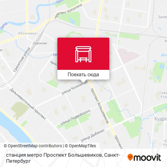 Карта станция метро Проспект Большевиков