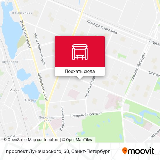 Карта проспект Луначарского, 60