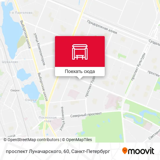 Карта проспект Луначарского, 60