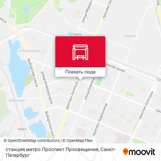 Карта станция метро Проспект Просвещения