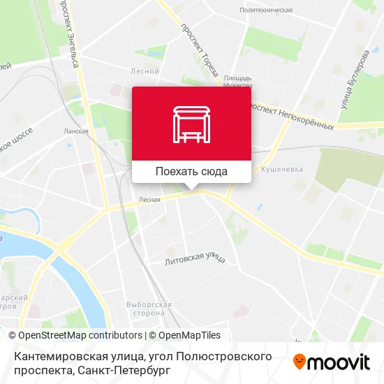 Карта Кантемировская улица, угол Полюстровского проспекта