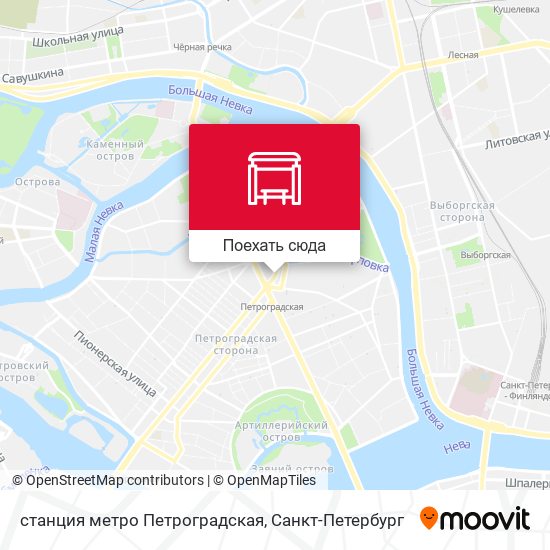 Карта станция метро Петроградская