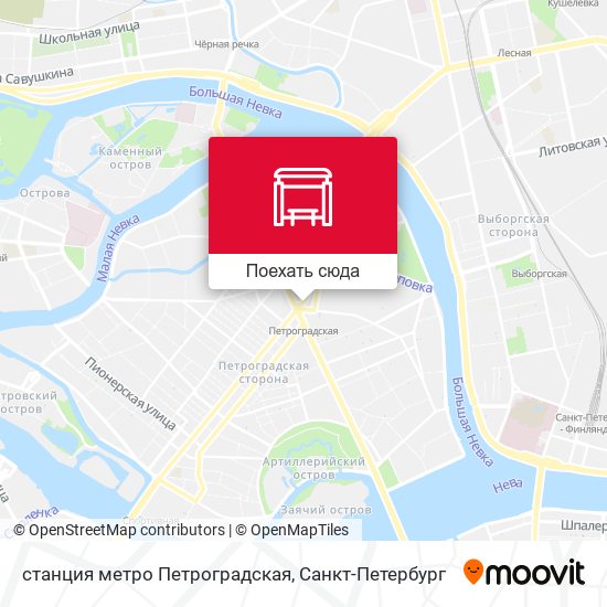 Карта станция метро Петроградская