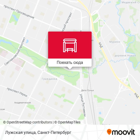 Карта Лужская улица