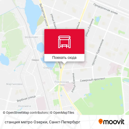 Карта станция метро Озерки