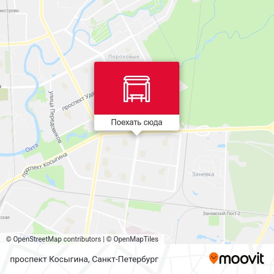 Карта проспект Косыгина