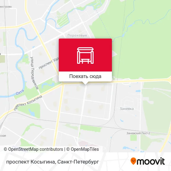 Карта проспект Косыгина