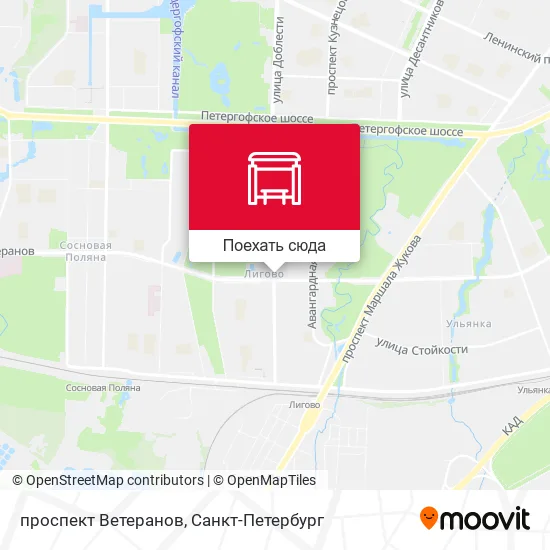 Карта проспект Ветеранов