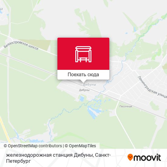 Карта железнодорожная станция Дибуны