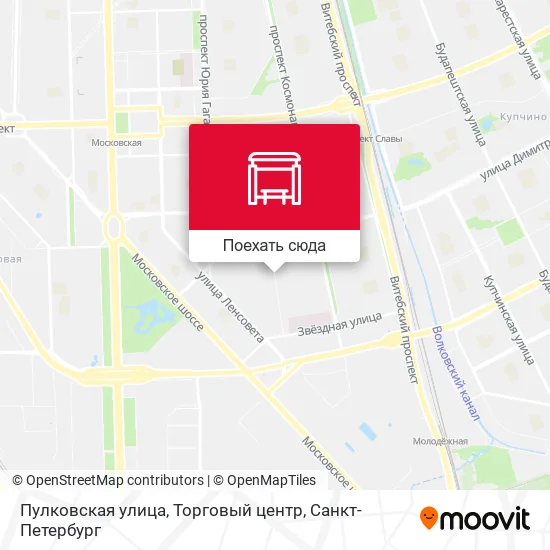 Карта Пулковская улица, Торговый центр