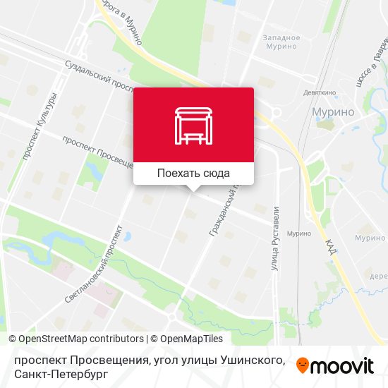 Карта проспект Просвещения, угол улицы Ушинского
